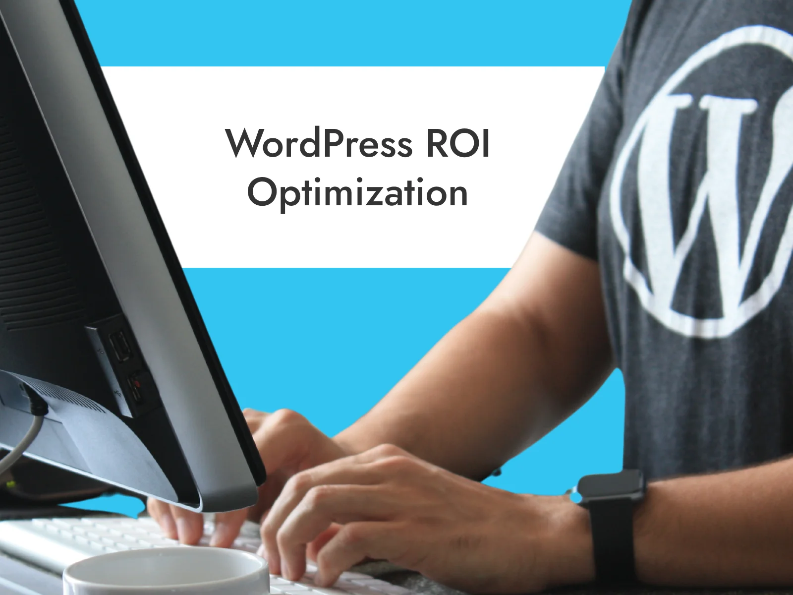 WordPress-ROI-Optimization